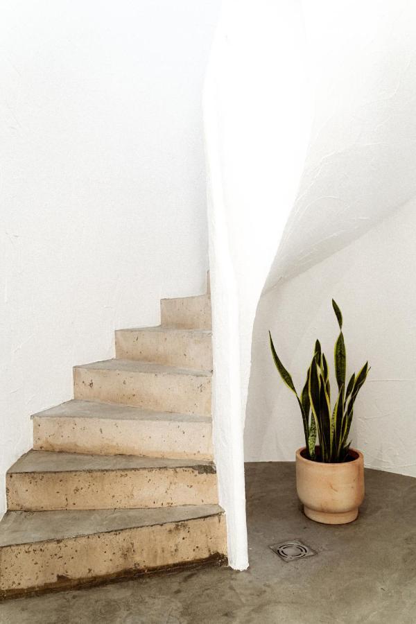 Estudio I Ideal Para Parejas En La Playa Alguer ลาเมตยาเดมาร์ ภายนอก รูปภาพ
